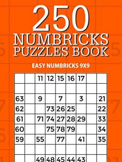 250 Numbricks Puzzle Book: Easy Numbricks 9x9 (Volume 16)
