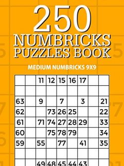 250 Numbricks Puzzle Book: Medium Numbricks 9x9 (Volume 17)